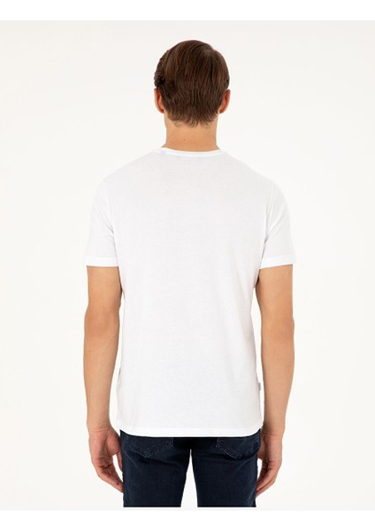 Beyaz-Lacivert-Siyah 3'lü Slim Fit %100 Pamuk Bisiklet Yaka Basic Tişört Paketi modelleri