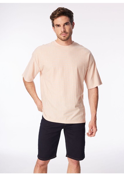 Turuncu Erkek Bisiklet Yaka Loose Fit Çizgili T-Shirt F4SM-TST 036 fiyatları