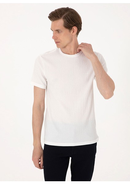 Ekru Erkek Slim Fit T-Shirt Mıranda