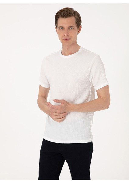 Ekru Erkek Slim Fit T-Shirt Mıranda modelleri