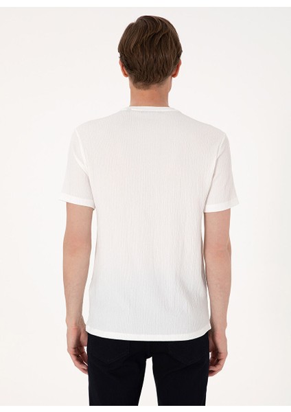 Ekru Erkek Slim Fit T-Shirt Mıranda indirimleri