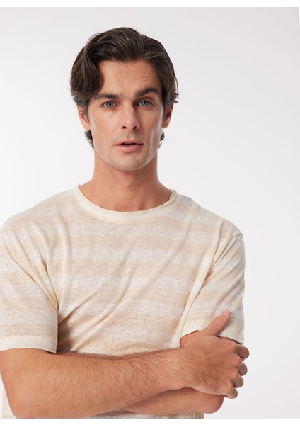 Bej Erkek Bisiklet Yaka Relaxed Çizgili T-Shirt F4SM-TST 0245