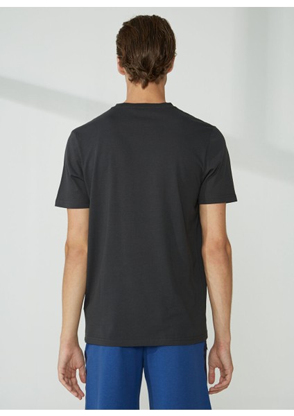 Bisiklet Yaka Düz Siyah Erkek T-Shirt Rıg T-Shırt indirimleri