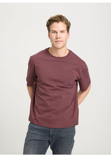 Bisiklet Yaka Kahve Erkek T-Shirt W241556H45 Regular T-Shirt