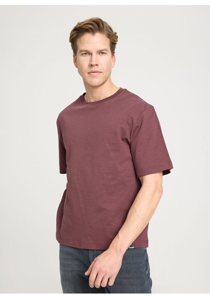 Bisiklet Yaka Kahve Erkek T-Shirt W241556H45 Regular T-Shirt fiyatları