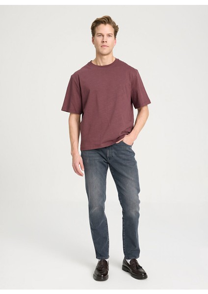 Bisiklet Yaka Kahve Erkek T-Shirt W241556H45 Regular T-Shirt modelleri
