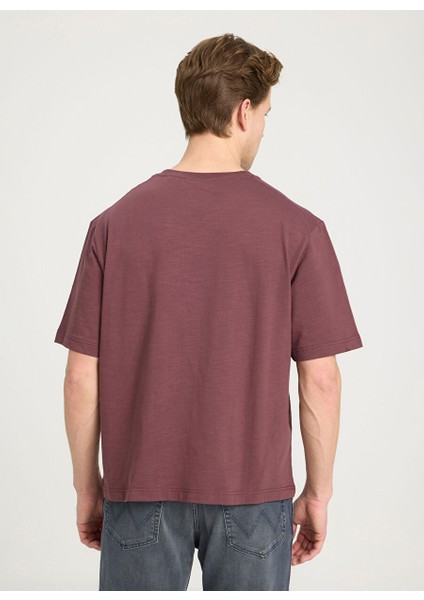 Bisiklet Yaka Kahve Erkek T-Shirt W241556H45 Regular T-Shirt fırsatları