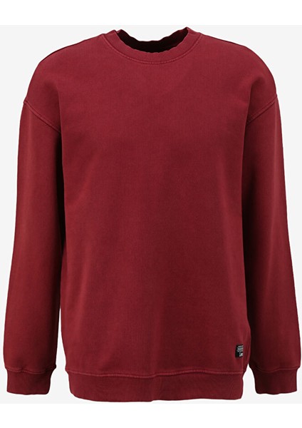 Bisiklet Yaka Gül Kurusu Erkek Loose Fit Sweatshirt L241469A11
