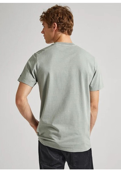 Fıstık Erkek Regular Fit Baskılı T-Shirt PM509231 701 Dave Tee fırsatları