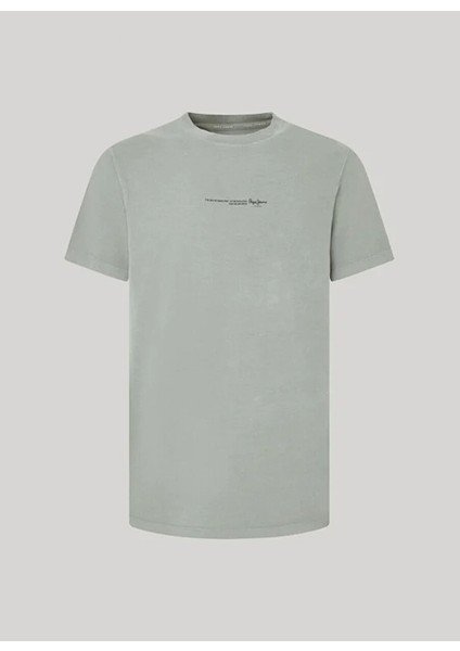 Fıstık Erkek Regular Fit Baskılı T-Shirt PM509231 701 Dave Tee indirimleri