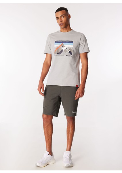 Gri Erkek Bisiklet Yaka Baskılı T-Shirt D4SM-TST3270 fiyatları