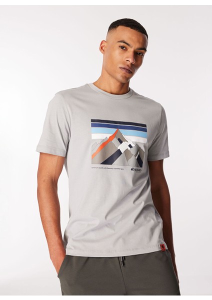 Gri Erkek Bisiklet Yaka Baskılı T-Shirt D4SM-TST3270 fırsatları