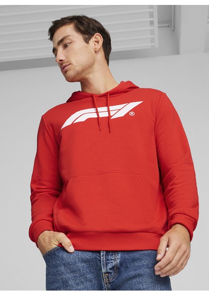 Kırmızı Erkek Kapüşon Yaka Regular Fit Sweatshirt 62585303 F1 Ess Logo Hoodie fiyatları