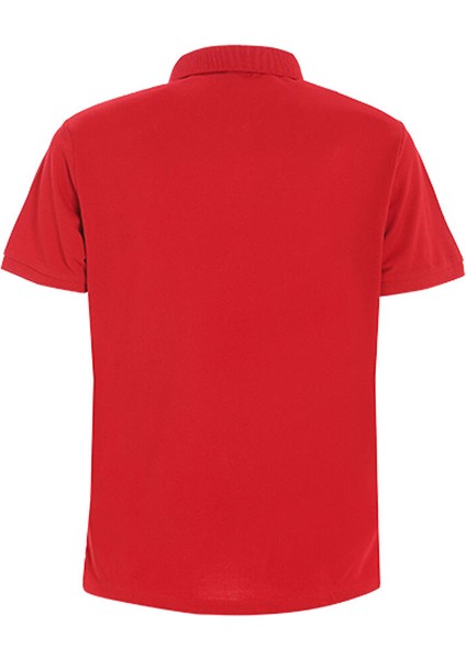 Kırmızı Erkek Polo Yaka Regular Fit T-Shirt A108003S00_DECK fiyatları