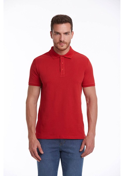 Kırmızı Regular Fit Düz 100% Pamuklu Polo Yaka Tişört