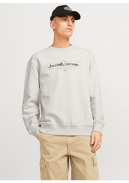 Ekru Erkek Bisiklet Yaka Relaxed Fit Sweatshirt Jcoalpha Sweat Crew Neck fiyatları