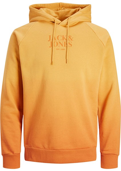 Kapüşon Yaka Koyu Kahve Erkek Sweatshırt 12236151_JJFADE Sweat Hood
