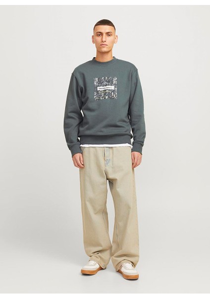 Gri Erkek Bisiklet Relaxed Sweatshirt Jcoalpha Sweat Crew Neck