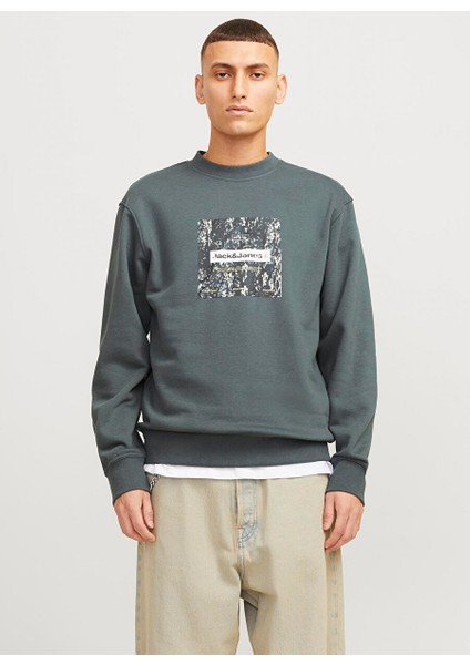 Gri Erkek Bisiklet Relaxed Sweatshirt Jcoalpha Sweat Crew Neck fiyatları