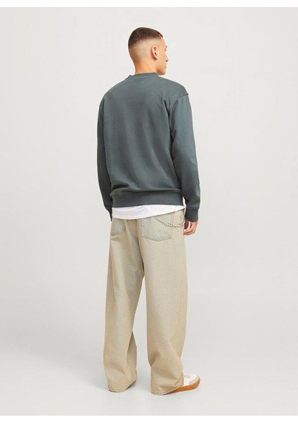 Gri Erkek Bisiklet Relaxed Sweatshirt Jcoalpha Sweat Crew Neck indirimleri