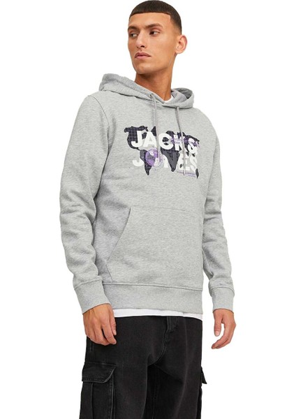 Erkek Sweatshirts 12240214