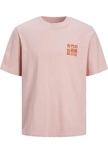 Erkek T-Shirt Jorrecıpe Tee Ss Crew Neck Tg Ln 12254174-PINK Nectar