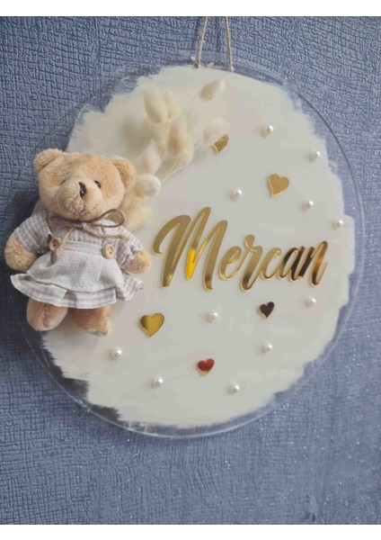 Dekoratif Ayıcıklı Boyalı Pleksi Hastane Bebek Çocuk Odası Kapı Süsü fırsatları