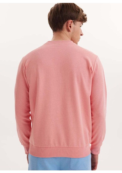 Pembe Baskılı Bisiklet Yaka Pamuklu Regular Fit Erkek Sweatshirt Wmcollage Fun