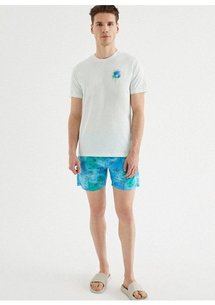 Erkek Turkuaz Regular Fit Palms Deniz Şortu