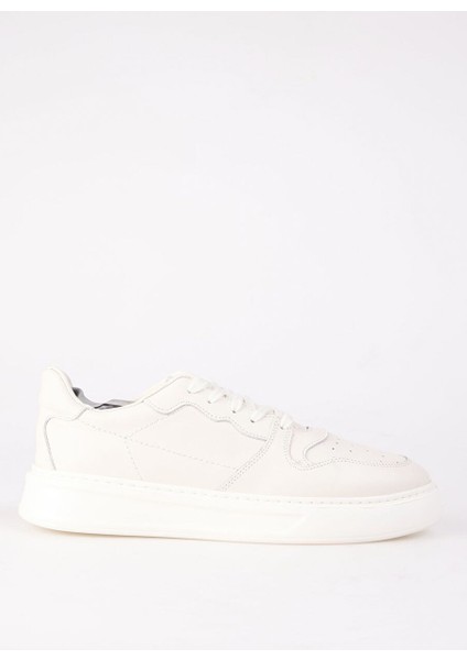 Ekru Erkek Deri Sneaker Aelı