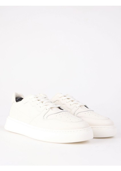 Ekru Erkek Deri Sneaker Aelı