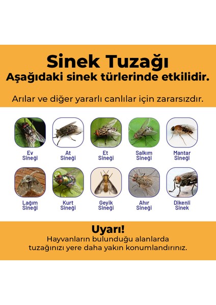 Hg Karasinek Tuzağı