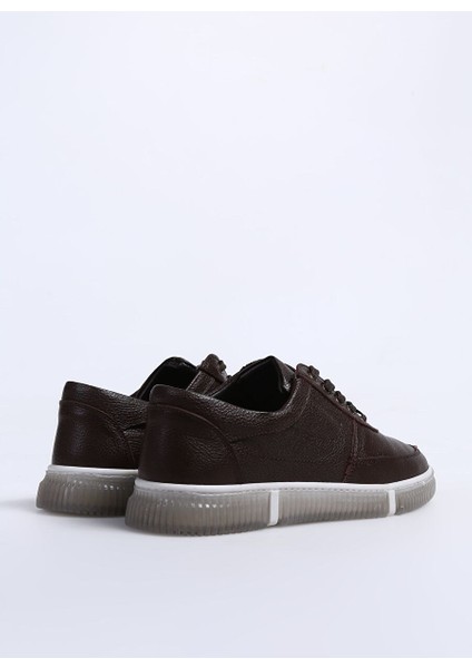 Kahverengi Erkek Deri Sneaker Yorke modelleri