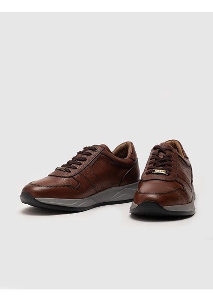 Taba Erkek Deri Sneaker 25632