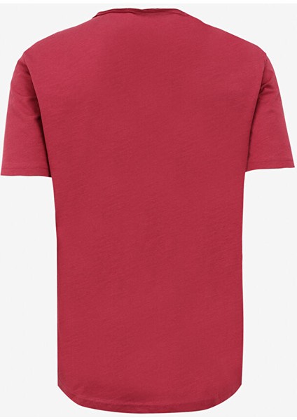 Gül Kurusu Erkek Bisiklet Yaka T-Shirt L241570A11