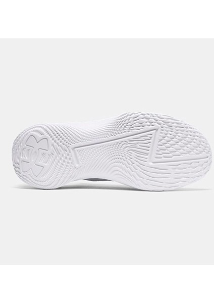 Erkek Ua Curry 1 Low Flotro Lux Basketbol Ayakkabısı 3027603-100