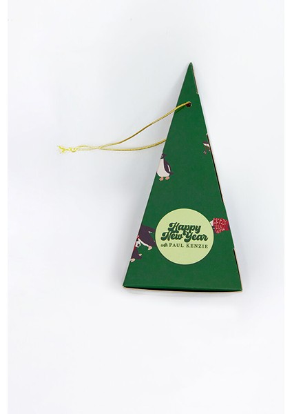 Christmas Collection - Erkek Boxer - Pengu In Wonderland