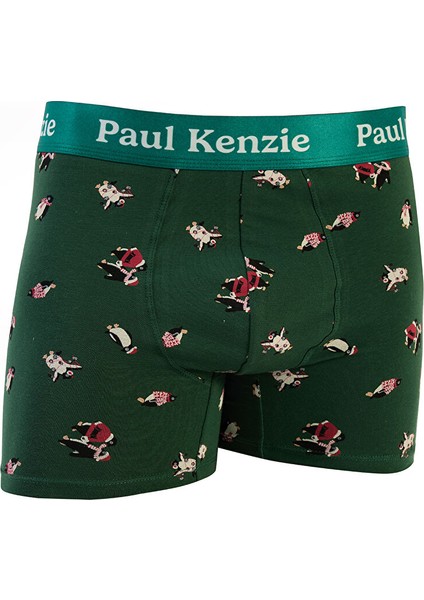 Christmas Collection - Erkek Boxer - Pengu In Wonderland