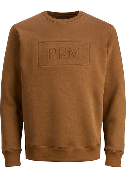 Bisiklet Yaka Kahve Erkek Sweatshırt 12241106_JPRBLABLAKE Sweat Crew Nec
