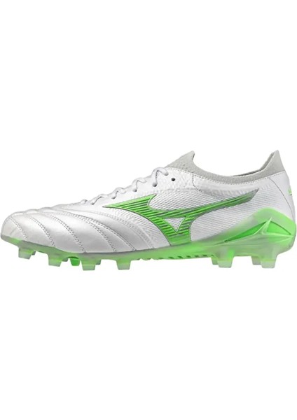 Morelia Neo 4 Beta Japan
