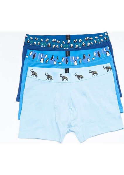 Animal Erkek Boxer 3 Adet