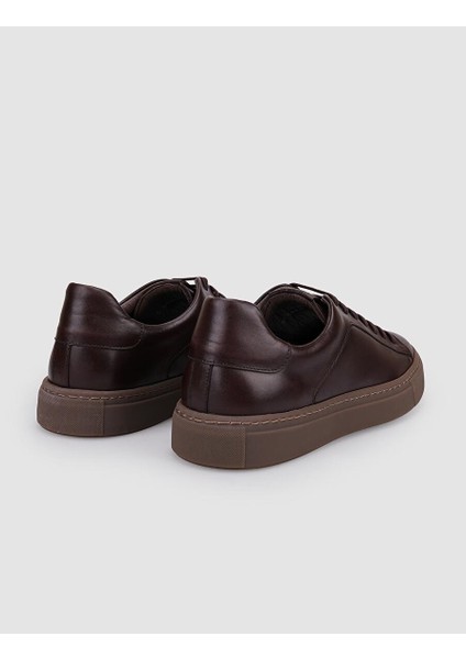 Kahverengi Erkek Deri Sneaker 117833 modelleri