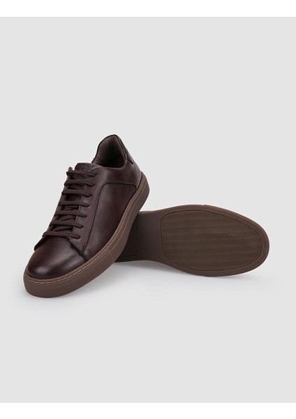 Kahverengi Erkek Deri Sneaker 117833 fırsatları