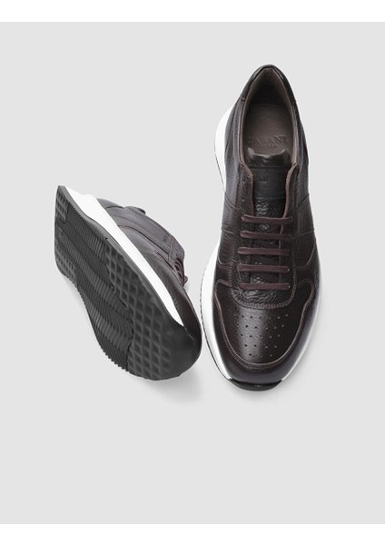 Kahverengi Erkek Deri Sneaker 29768 fırsatları