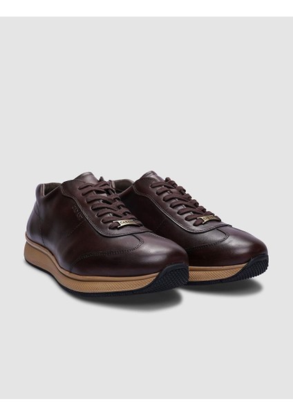 Kahverengi Erkek Deri Sneaker 101398S modelleri