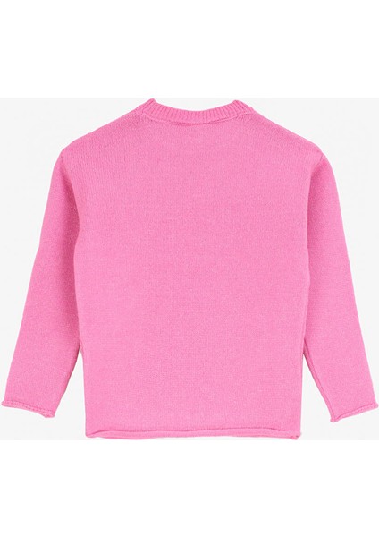 Pembe Kız Çocuk Bisiklet Normal Düz Kazak BRB4WG-KZK6140 fiyatları