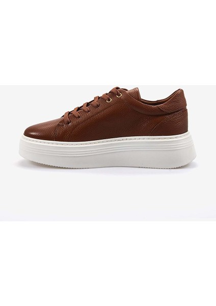 Erkek Spor & Sneaker Ayakkabı 22276