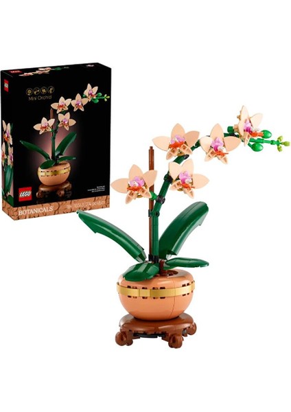 Botanicals Mini Orkide 10343