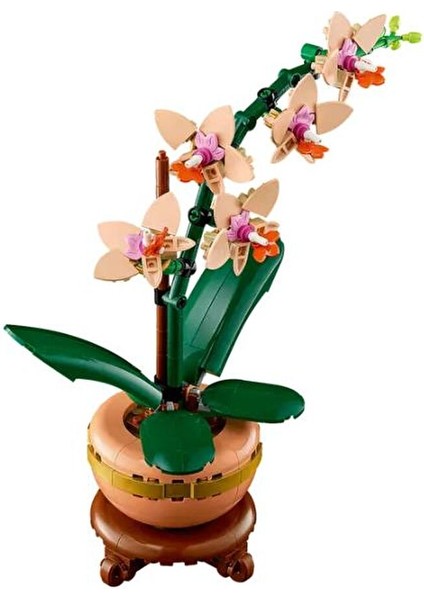 Botanicals Mini Orkide 10343 fiyatları