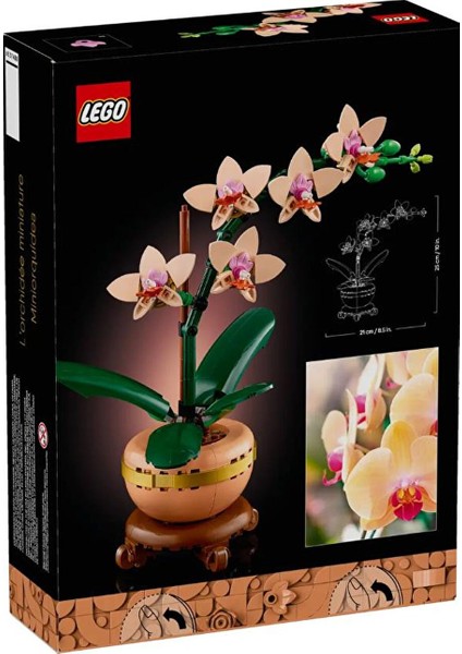 Botanicals Mini Orkide 10343 modelleri